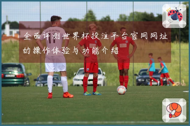 全面评测世界杯投注平台官网网址的操作体验与功能介绍