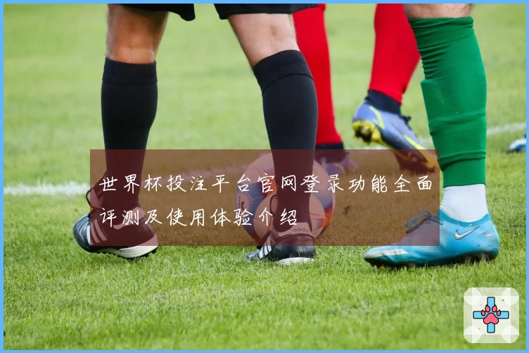世界杯投注平台官网登录功能全面评测及使用体验介绍