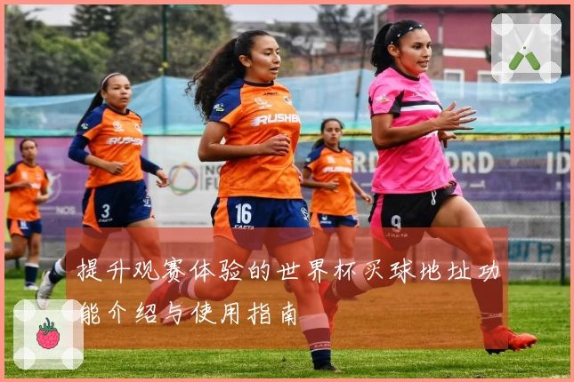 提升观赛体验的世界杯买球地址功能介绍与使用指南