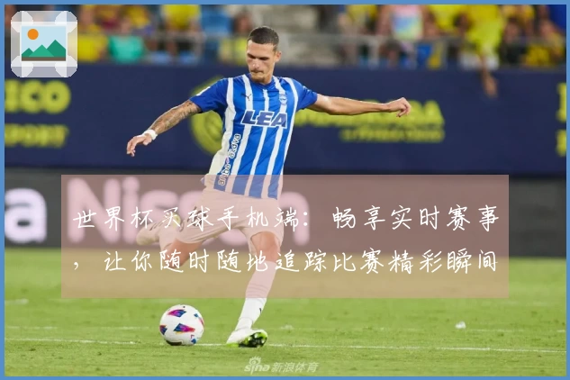 世界杯买球手机端：畅享实时赛事，让你随时随地追踪比赛精彩瞬间