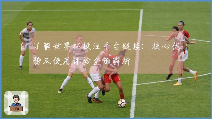 了解世界杯投注平台链接：核心优势及使用体验全面解析
